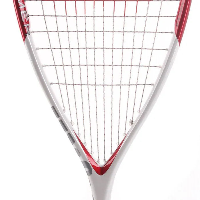 Wilson Hammer 110 - Squashwebwinkel